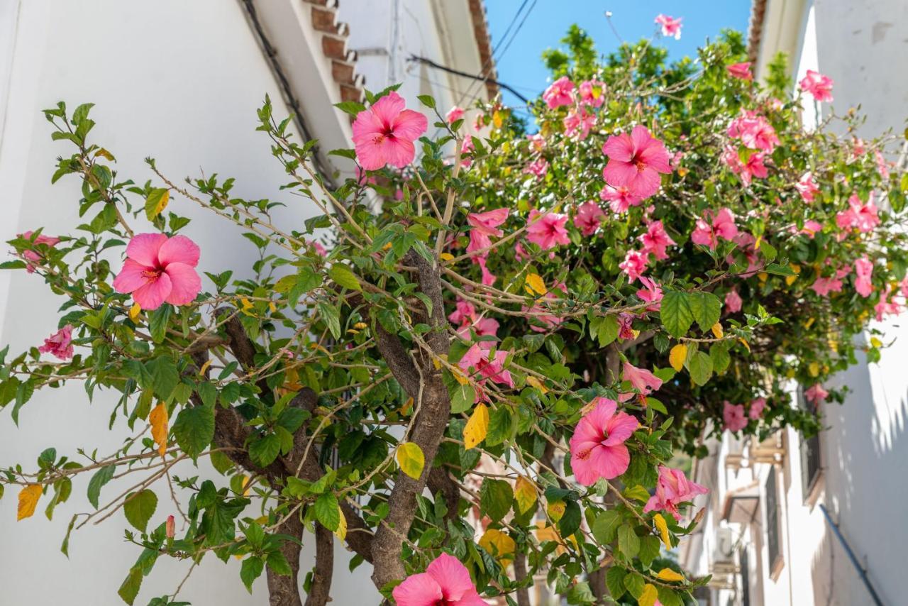Lovely Cozy 2-Bedroom Residential Home With Patio Benalmádena Exteriér fotografie